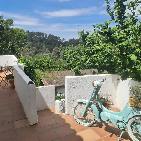 Chalet Nature Oasis Near Barcelona With Swimming Pool Parties Not Allowed Sant Cugat del Valles